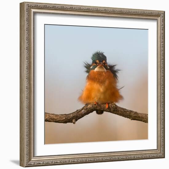 Against Wind-Cheng Chang-Framed Photographic Print