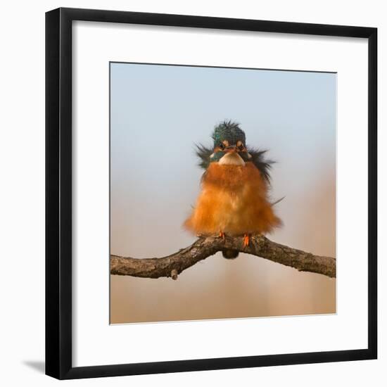 Against Wind-Cheng Chang-Framed Photographic Print