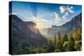 Stretched Canvas Print