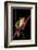 Agalychnis Callidryas (Red-Eyed Treefrog )-Paul Starosta-Framed Photographic Print