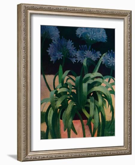 'Agapanthus', 1914, (c1932)-Mark Gertler-Framed Giclee Print