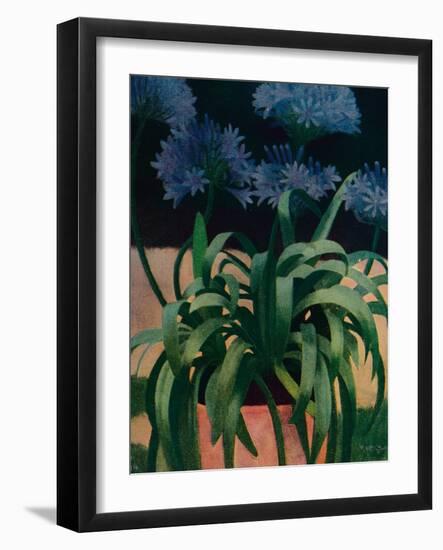 'Agapanthus', 1914, (c1932)-Mark Gertler-Framed Giclee Print