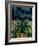 'Agapanthus', 1914, (c1932)-Mark Gertler-Framed Giclee Print