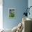 Agapanthus Africanus, Agapanthus in Umbel (Photo)-null-Framed Premier Image Canvas displayed on a wall