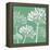 Agapanthus breeze, 2005-Sarah Hough-Framed Premier Image Canvas