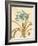 Agapanthus Curiosity-Chad Barrett-Framed Art Print