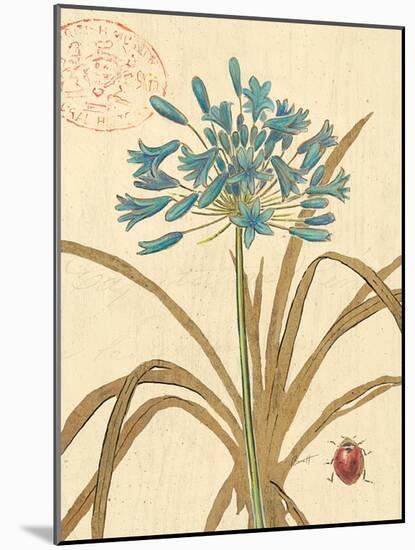 Agapanthus Curiosity-Chad Barrett-Mounted Art Print