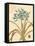 Agapanthus Curiosity-Chad Barrett-Framed Stretched Canvas