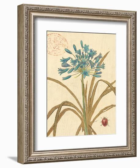 Agapanthus Curiosity-Chad Barrett-Framed Art Print