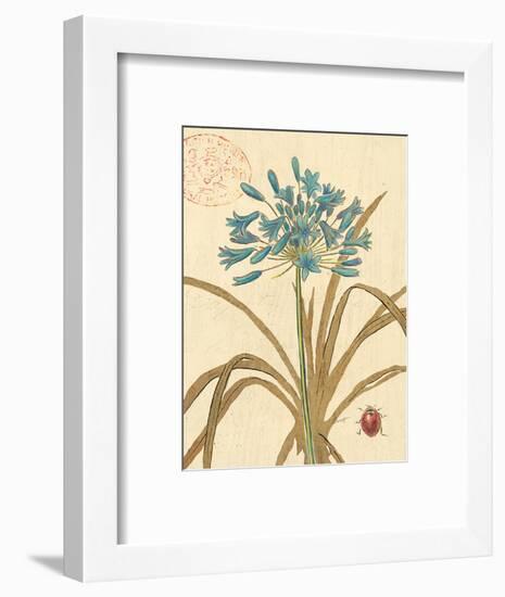 Agapanthus Curiosity-Chad Barrett-Framed Art Print