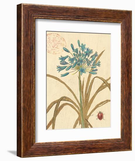 Agapanthus Curiosity-Chad Barrett-Framed Premium Giclee Print