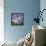 Agapanthus 'Donau'-Cristina-Framed Premier Image Canvas displayed on a wall