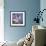 Agapanthus 'Donau'-Cristina-Framed Premium Photographic Print displayed on a wall