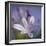 Agapanthus 'Donau'-Cristina-Framed Premium Photographic Print