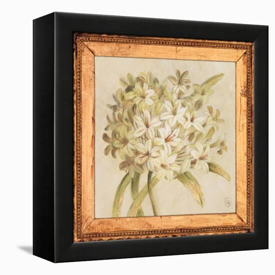 Agapanthus Floret Detail-Lauren Hamilton-Framed Stretched Canvas