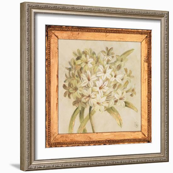 Agapanthus Floret Detail-Lauren Hamilton-Framed Art Print