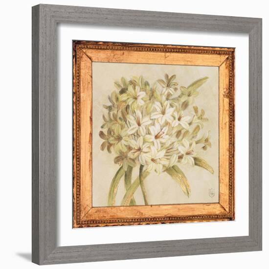 Agapanthus Floret Detail-Lauren Hamilton-Framed Art Print