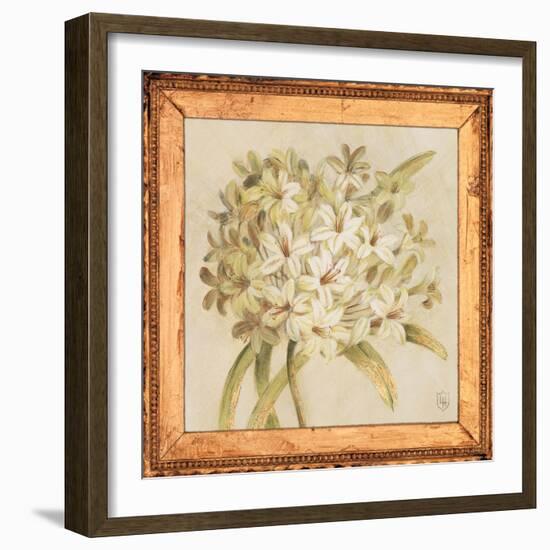 Agapanthus Floret Detail-Lauren Hamilton-Framed Art Print