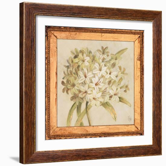 Agapanthus Floret Detail-Lauren Hamilton-Framed Art Print