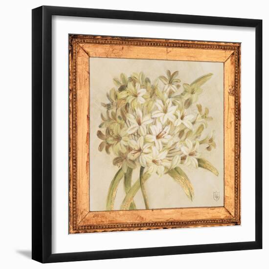 Agapanthus Floret Detail-Lauren Hamilton-Framed Art Print