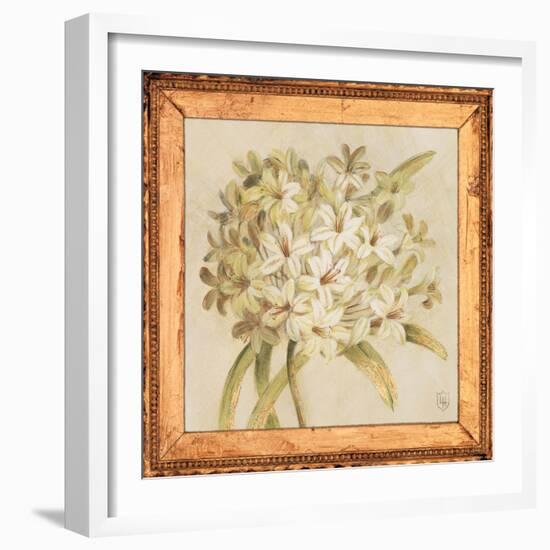 Agapanthus Floret Detail-Lauren Hamilton-Framed Art Print