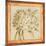 Agapanthus Floret Detail-Lauren Hamilton-Mounted Art Print