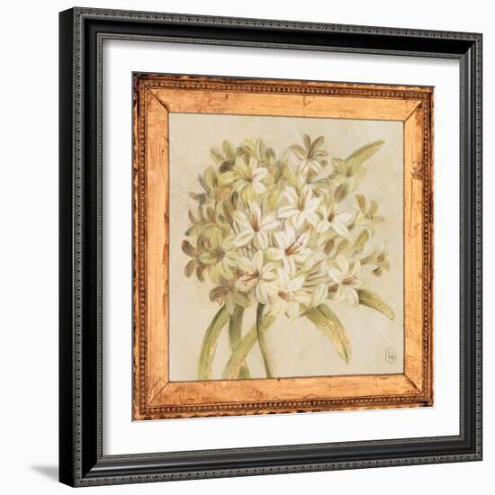 Agapanthus Floret Detail-Lauren Hamilton-Framed Art Print