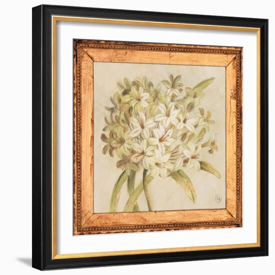 Agapanthus Floret Detail-Lauren Hamilton-Framed Art Print