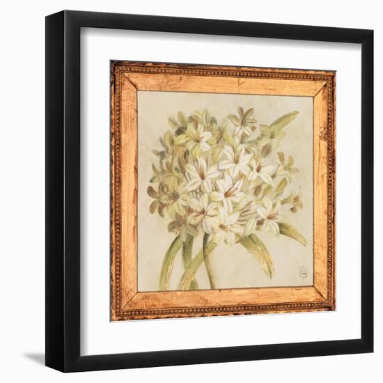 Agapanthus Floret Detail-Lauren Hamilton-Framed Art Print