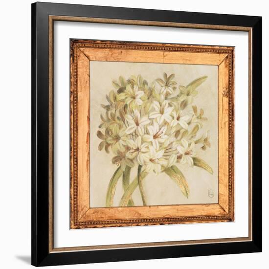 Agapanthus Floret Detail-Lauren Hamilton-Framed Premium Giclee Print