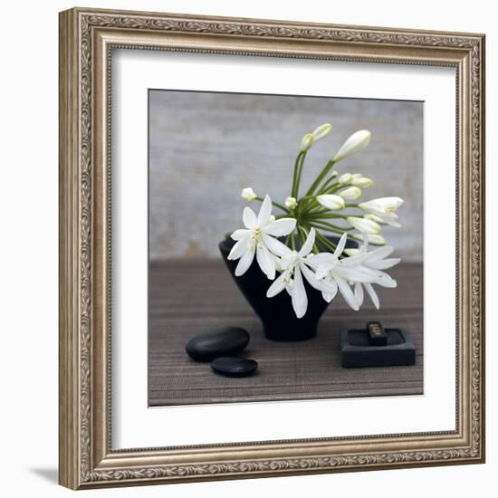 Agapanthus-Catherine Beyler-Framed Art Print