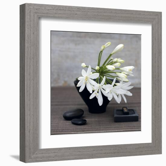 Agapanthus-Catherine Beyler-Framed Art Print