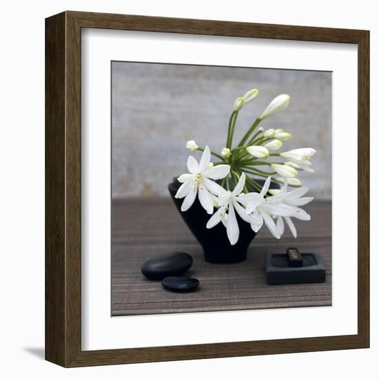 Agapanthus-Catherine Beyler-Framed Art Print