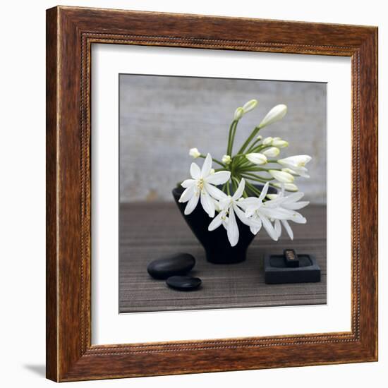 Agapanthus-Catherine Beyler-Framed Art Print