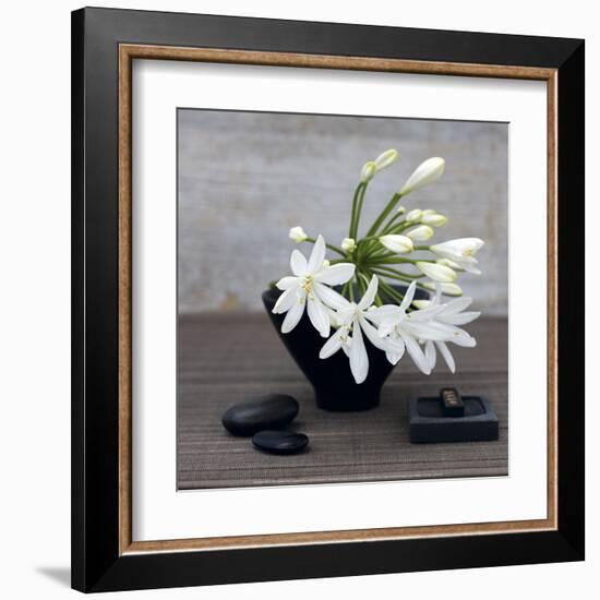 Agapanthus-Catherine Beyler-Framed Art Print