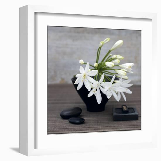 Agapanthus-Catherine Beyler-Framed Art Print