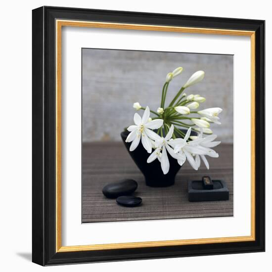 Agapanthus-Catherine Beyler-Framed Art Print