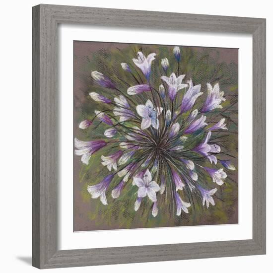 Agapanthus-Margo Starkey-Framed Giclee Print