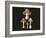 Agaricus Bulbosus Dark Background-John Stephenson and James Morss Churchill-Framed Giclee Print