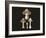 Agaricus Bulbosus Dark Background-John Stephenson and James Morss Churchill-Framed Giclee Print