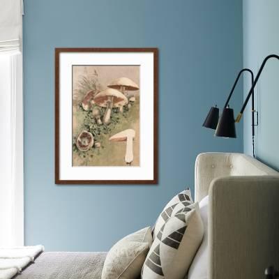 Agaricus Campestris Art Print William Hamilton Gibson Art Com