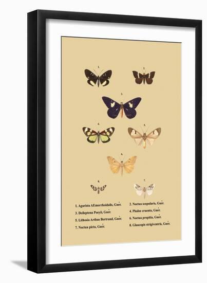 Agarista a Emorrhoidalis, Guer-null-Framed Art Print