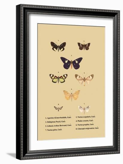 Agarista a Emorrhoidalis, Guer-null-Framed Art Print