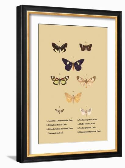 Agarista a Emorrhoidalis, Guer-null-Framed Art Print