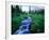 Agassiz Peak in the Distance, Stillwater Fork of Bear River Drainage, High Uintas Wilderness, Utah-Scott T^ Smith-Framed Photographic Print