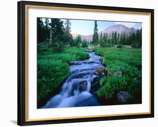 Agassiz Peak in the Distance, Stillwater Fork of Bear River Drainage, High Uintas Wilderness, Utah-Scott T^ Smith-Framed Photographic Print