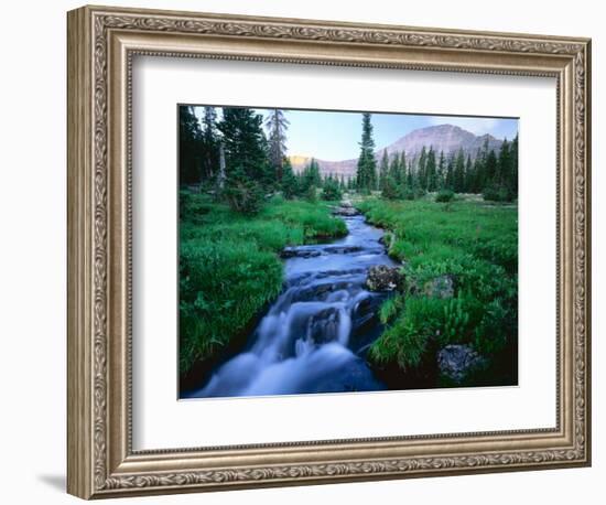 Agassiz Peak in the Distance, Stillwater Fork of Bear River Drainage, High Uintas Wilderness, Utah-Scott T^ Smith-Framed Photographic Print