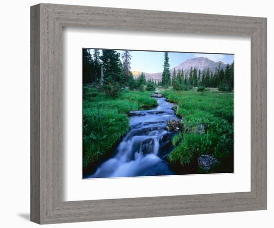 Agassiz Peak in the Distance, Stillwater Fork of Bear River Drainage, High Uintas Wilderness, Utah-Scott T^ Smith-Framed Photographic Print