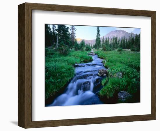 Agassiz Peak in the Distance, Stillwater Fork of Bear River Drainage, High Uintas Wilderness, Utah-Scott T^ Smith-Framed Photographic Print