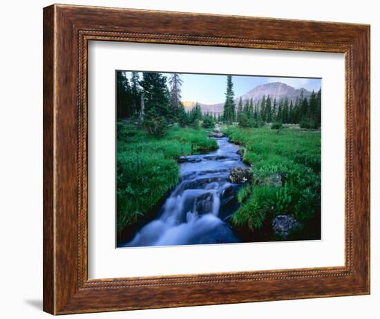 Agassiz Peak in the Distance, Stillwater Fork of Bear River Drainage, High Uintas Wilderness, Utah-Scott T^ Smith-Framed Photographic Print